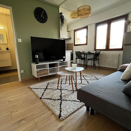 Cosy Rent Strasbourg Appartement Wifi Terrasse Bagian luar foto