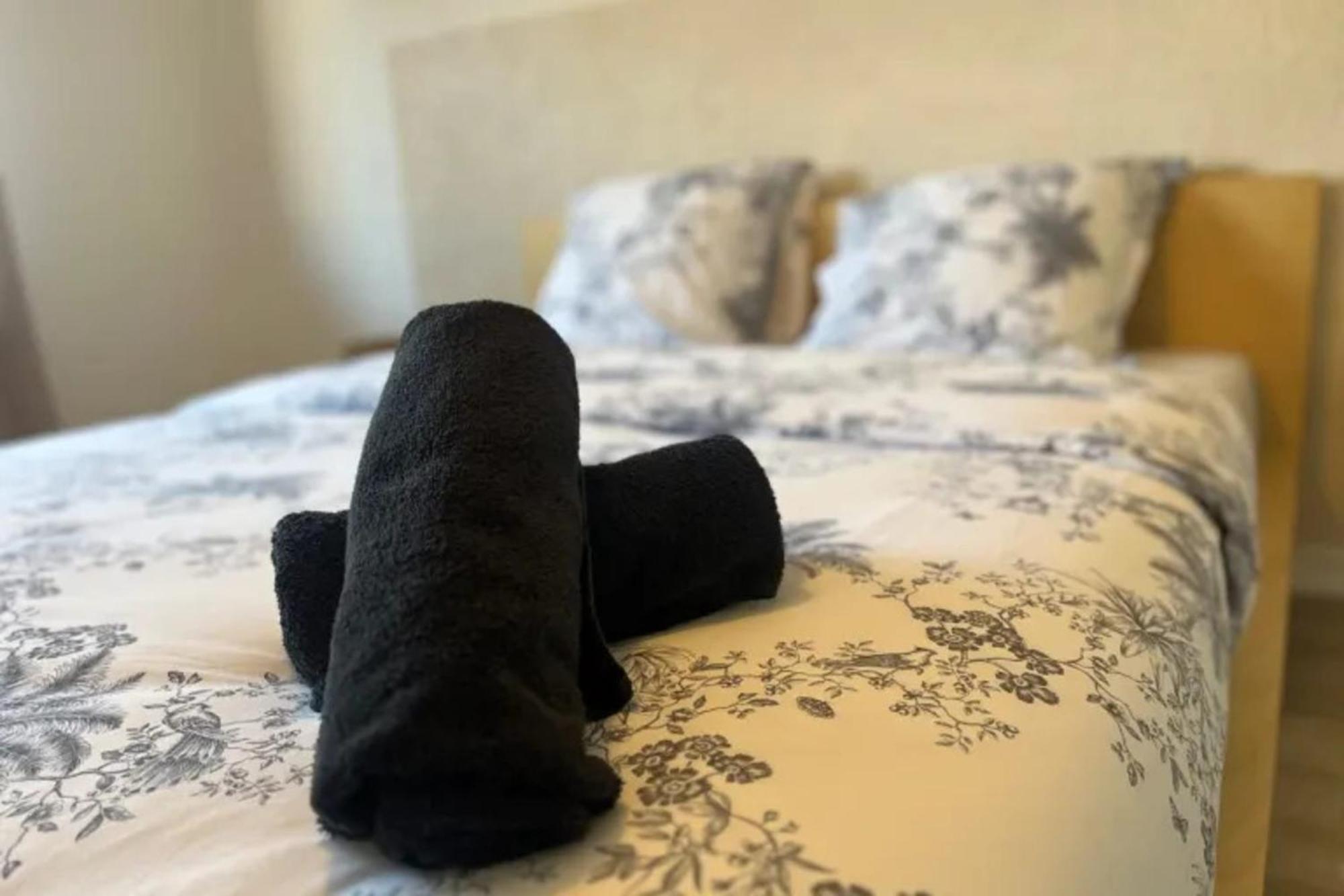 Cosy Rent Strasbourg Appartement Wifi Terrasse Bagian luar foto